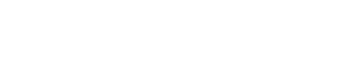 Zenit logo